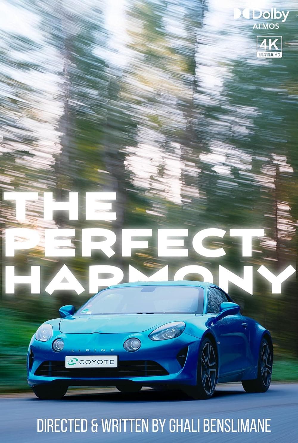 Affiche — The Perfect Harmony